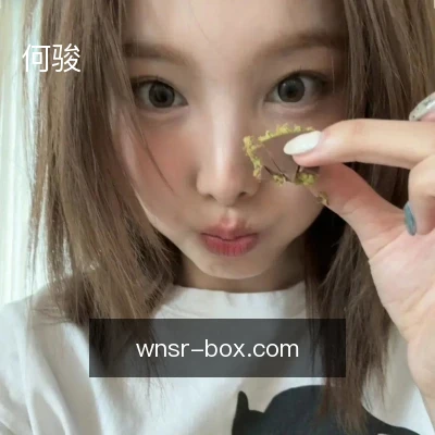 何骏